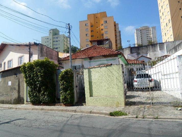 Foto REO184680