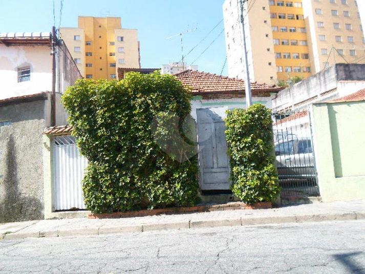 Foto REO184680