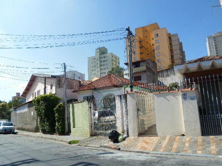 Foto REO184680
