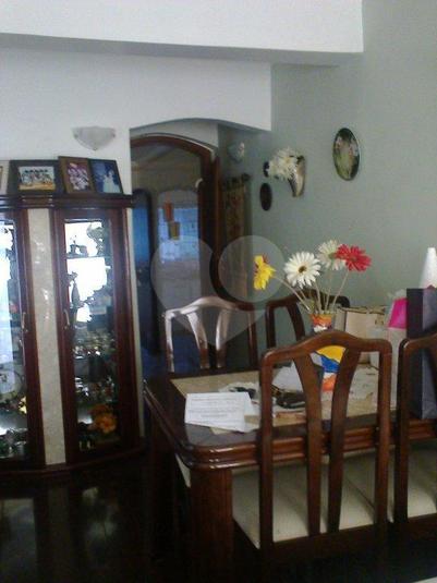 Foto REO184785