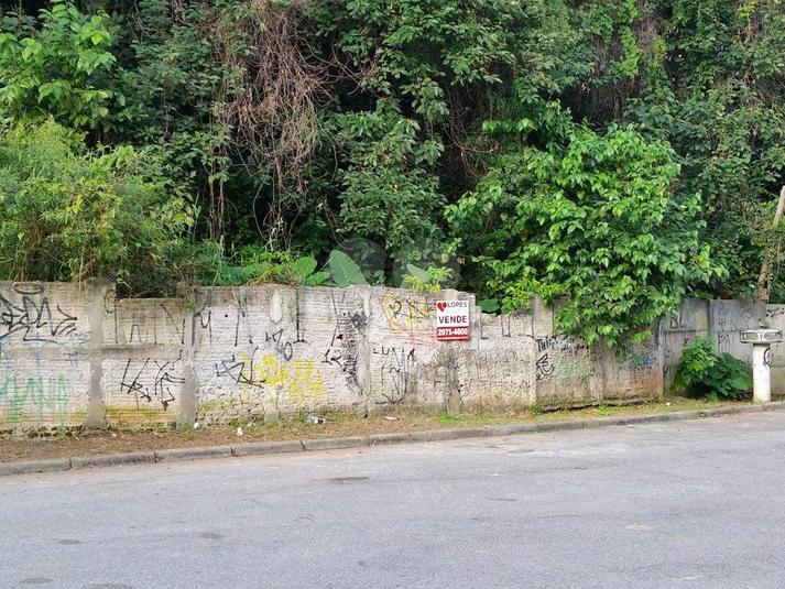Foto REO184788