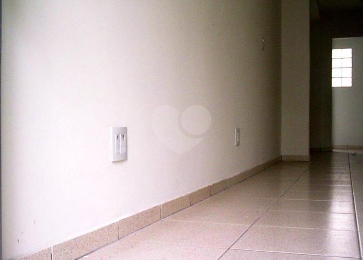 Foto REO184794