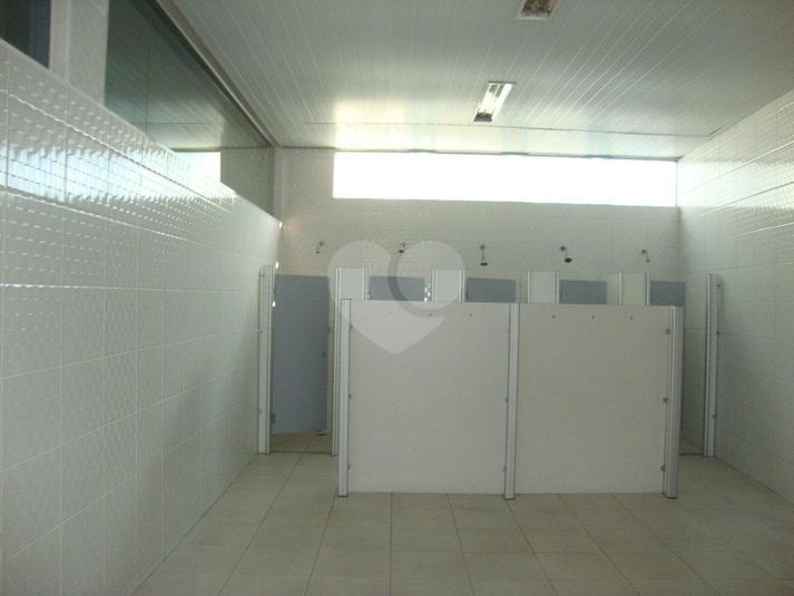Foto REO184799
