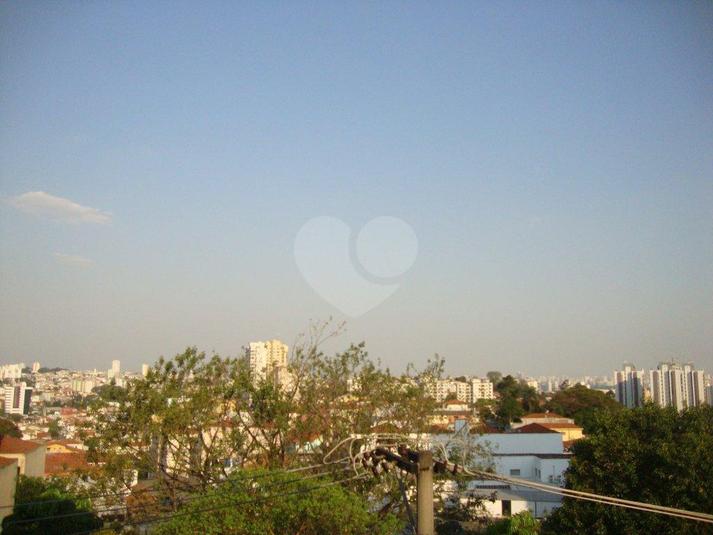 Foto REO184799