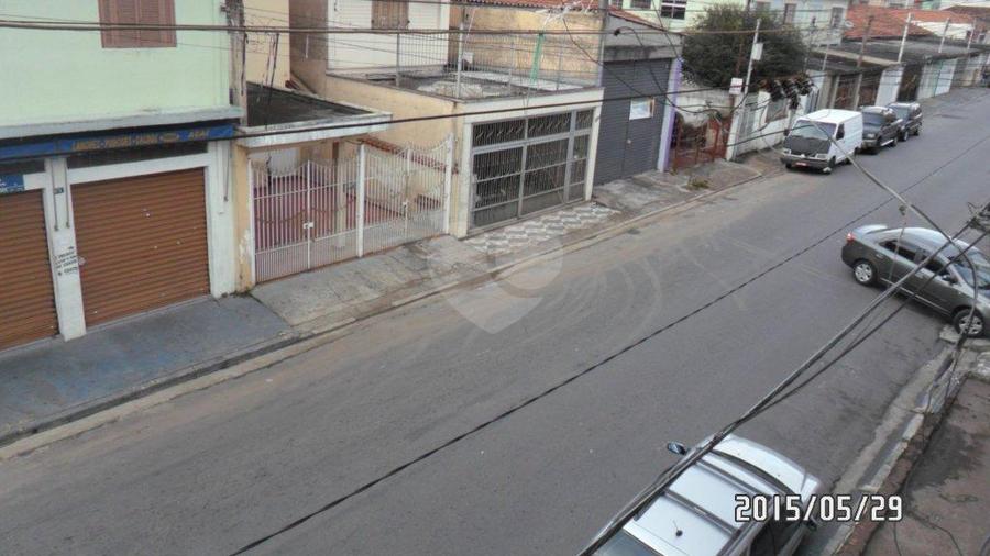 Foto REO184884