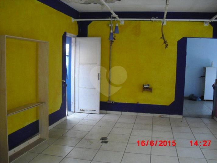 Foto REO184968
