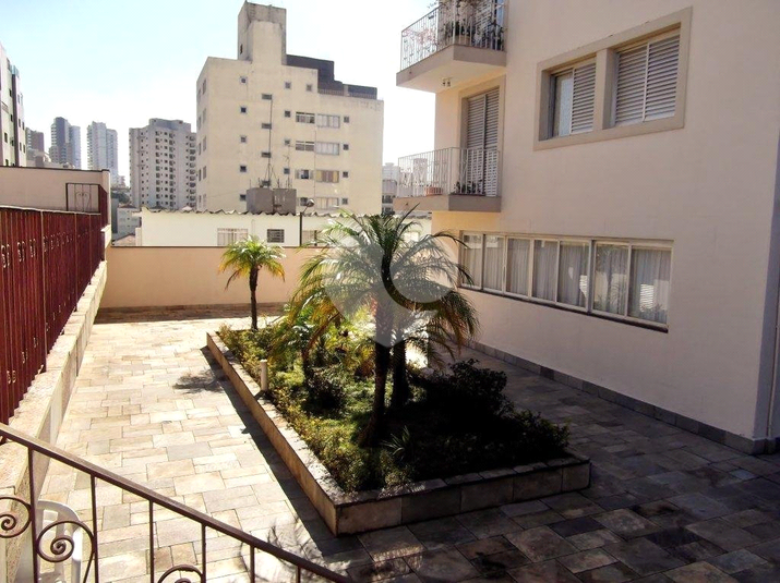 Foto REO185044