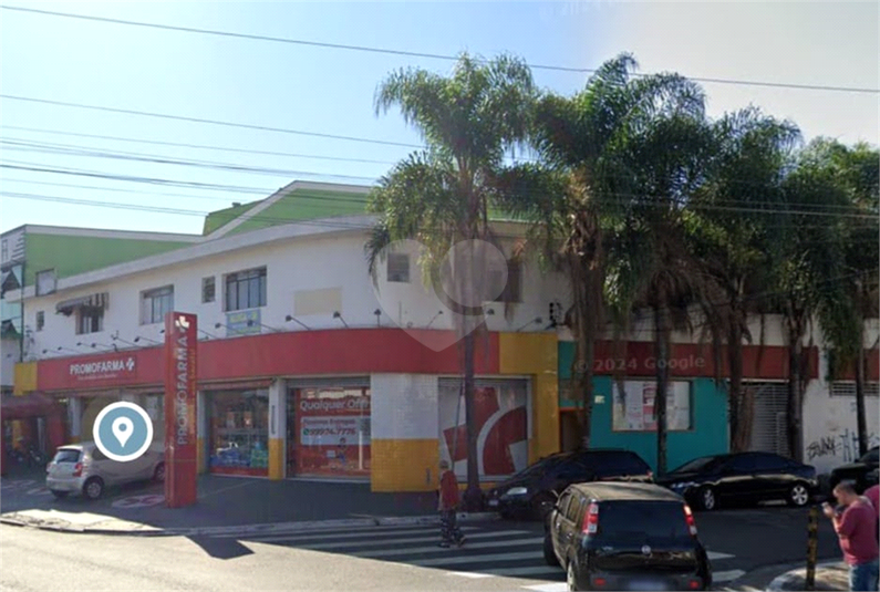 Foto REO185149