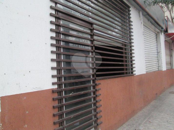 Foto REO185149