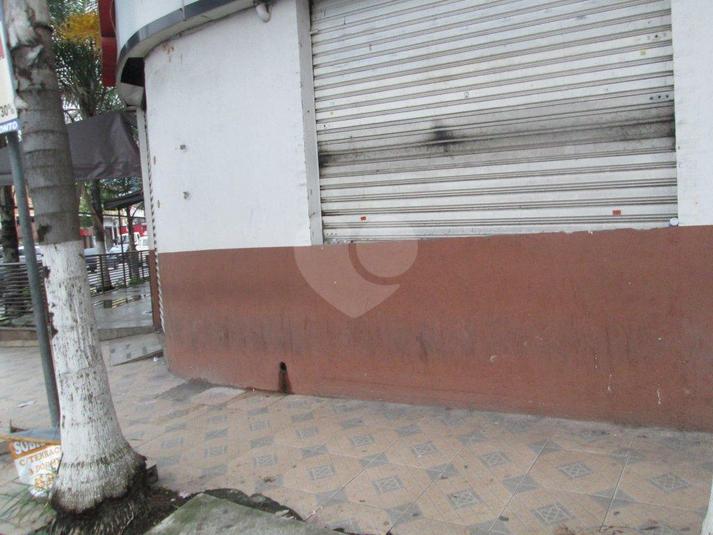 Foto REO185149