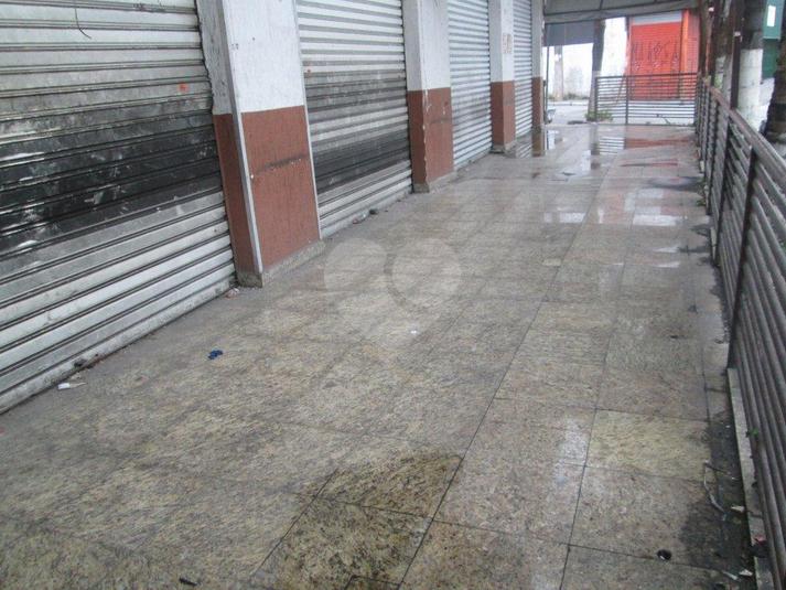 Foto REO185149