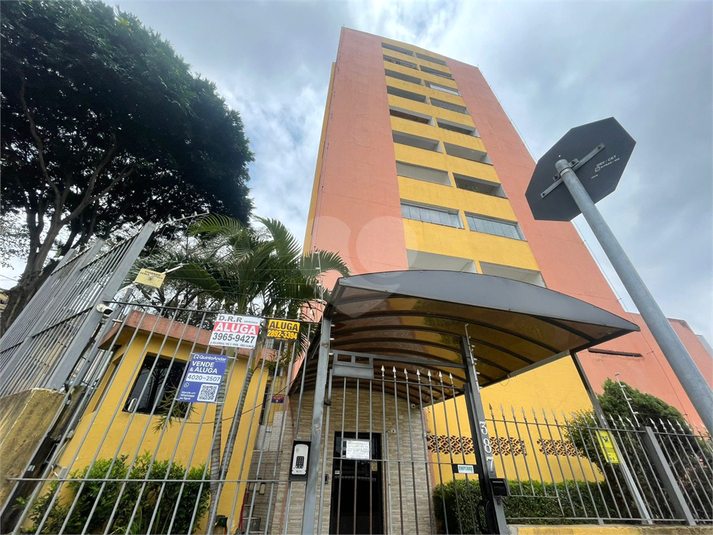Foto REO185412