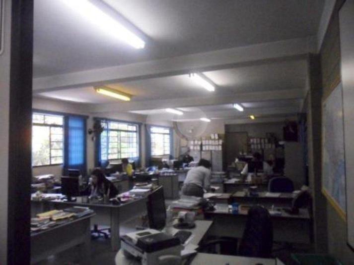 Foto REO185459