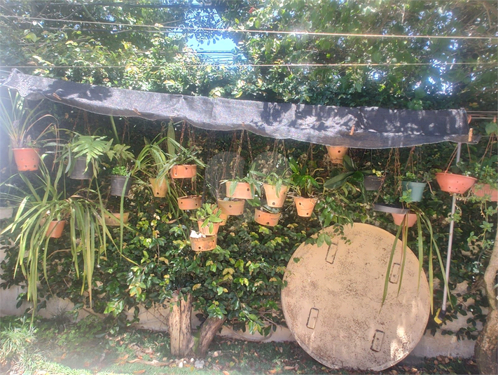 Foto REO185498