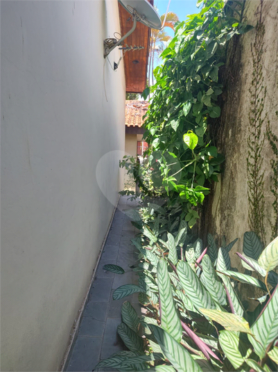 Foto REO185498