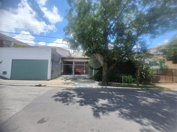 Foto REO185498