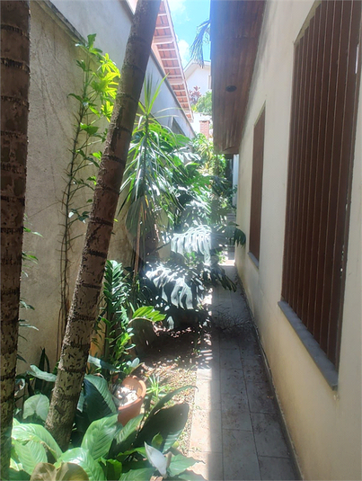 Foto REO185498