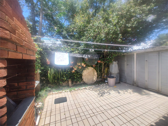 Foto REO185498