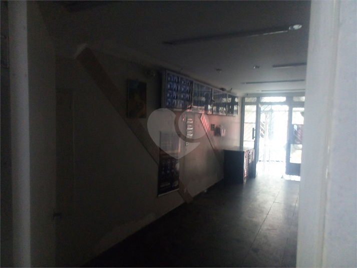 Foto REO185503