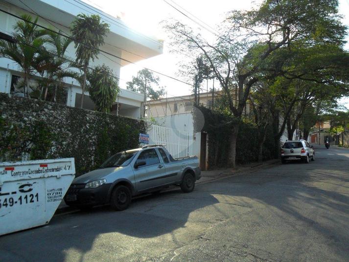 Foto REO185646