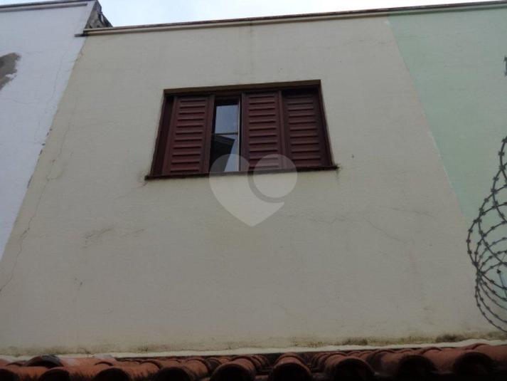 Foto REO185857