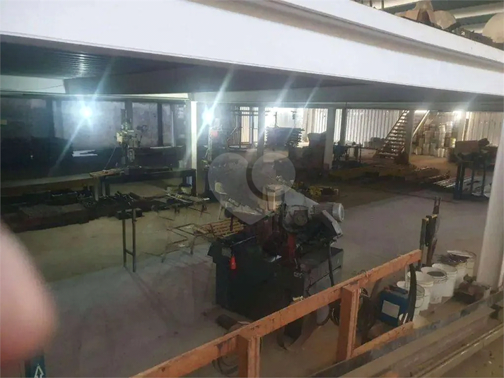 Foto REO186071