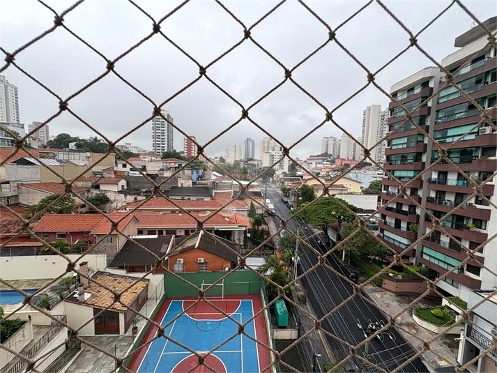 Foto REO186293