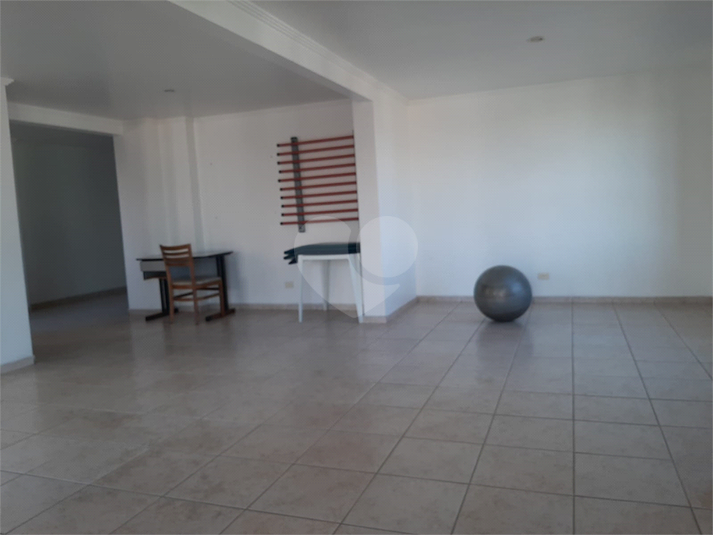 Foto REO186374