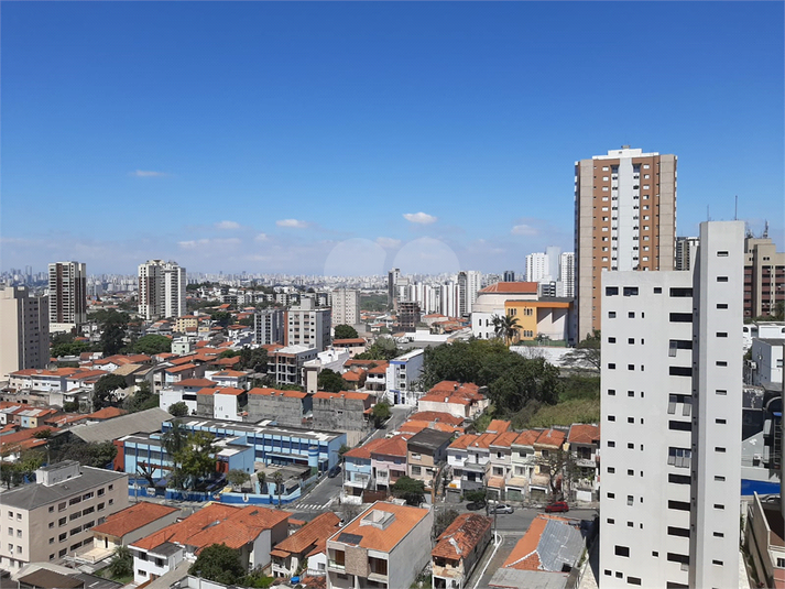 Foto REO186374