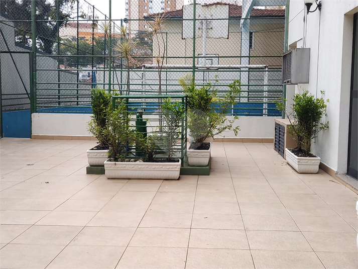 Foto REO186374