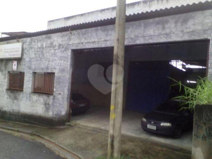 Foto REO186421