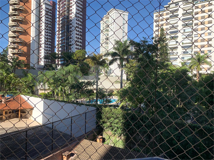 Foto REO186438