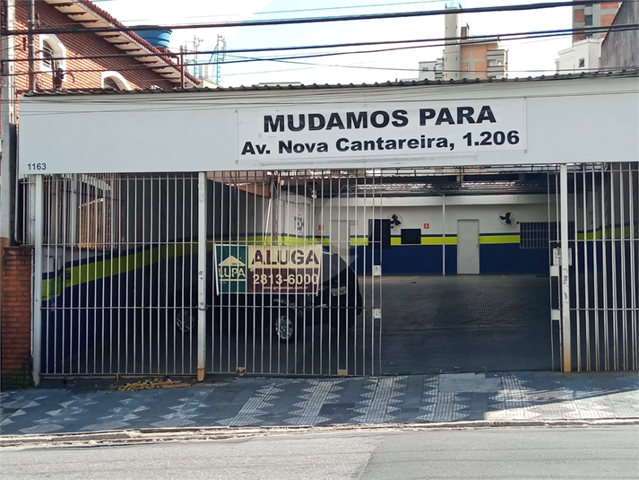 Foto REO186631