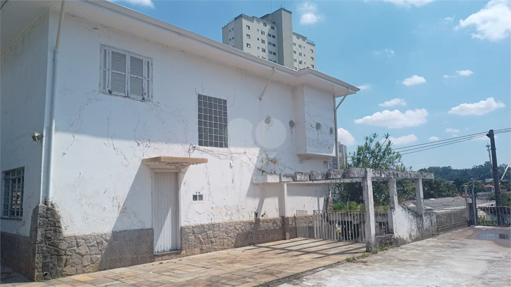 Aluguel Sobrado São Paulo Vila Albertina REO186805 13