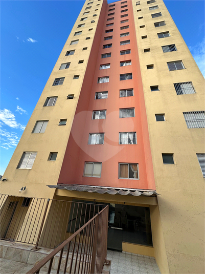Foto REO186984
