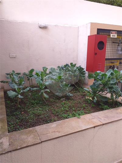 Foto REO187014