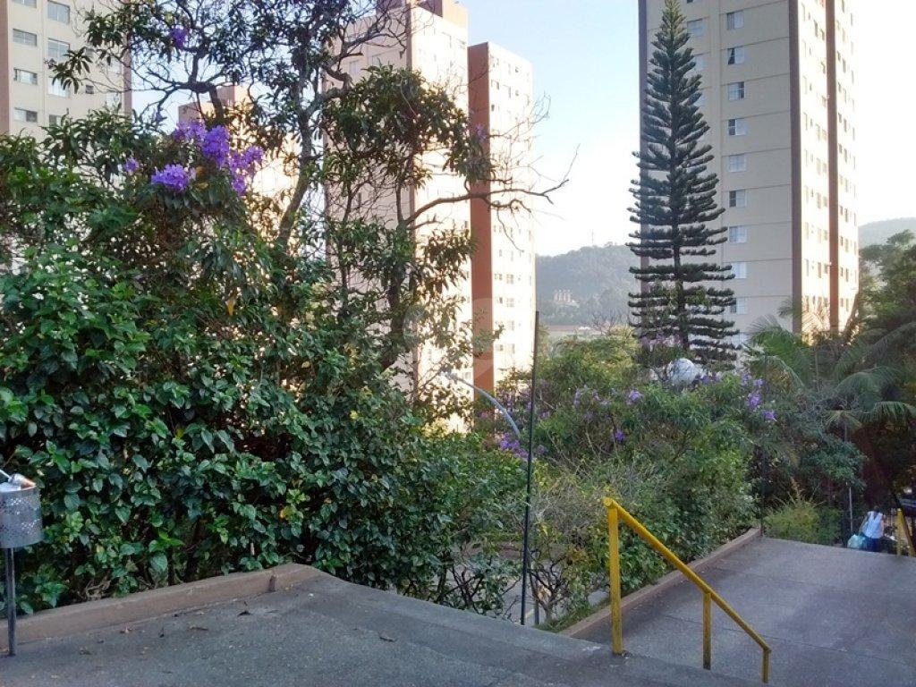 Venda Apartamento São Paulo Jardim Peri REO187046 27