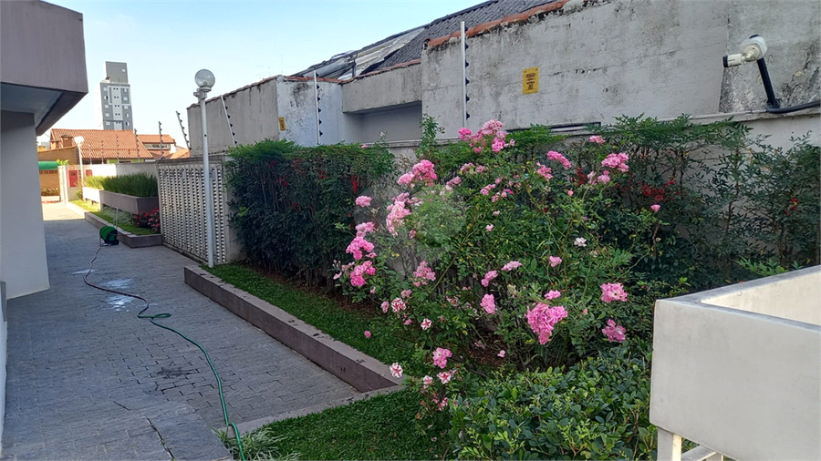 Foto REO187335