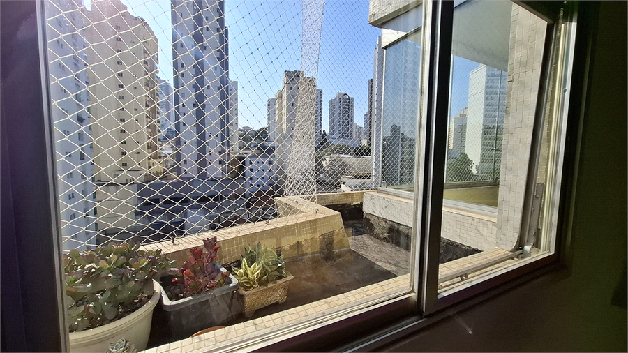 Foto REO187344