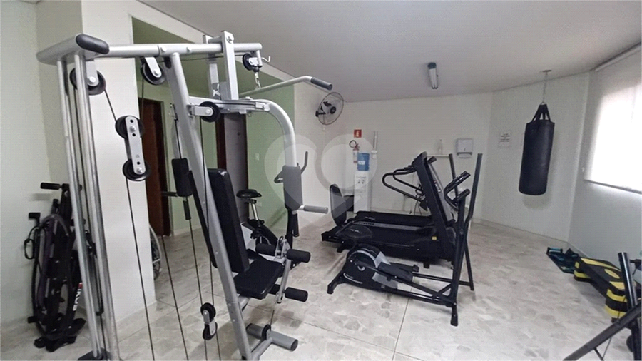 Foto REO187425