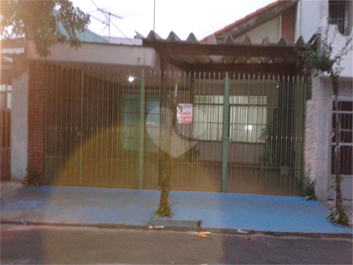 Foto REO187670