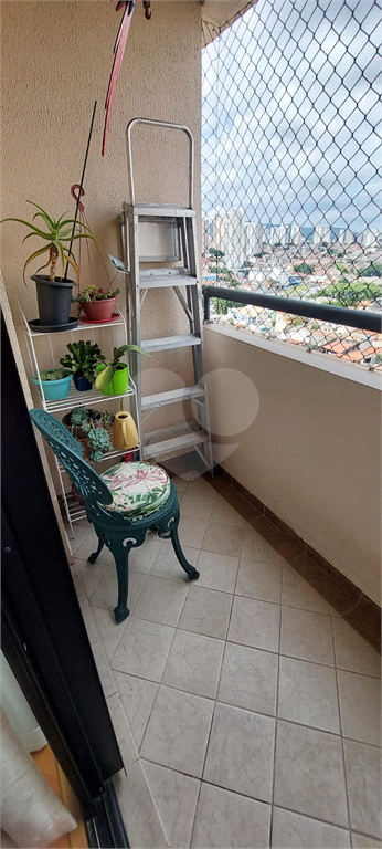 Venda Apartamento São Paulo Chora Menino REO187685 25