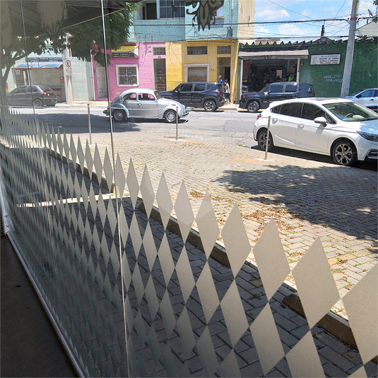 Foto REO187803