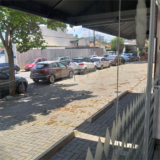 Foto REO187803