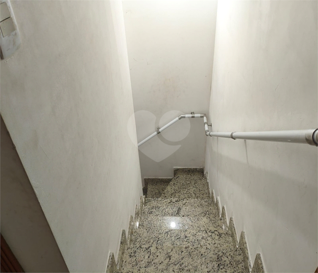 Foto REO187809