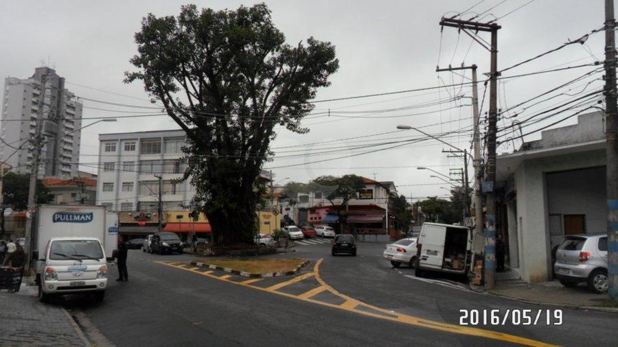 Foto REO188171