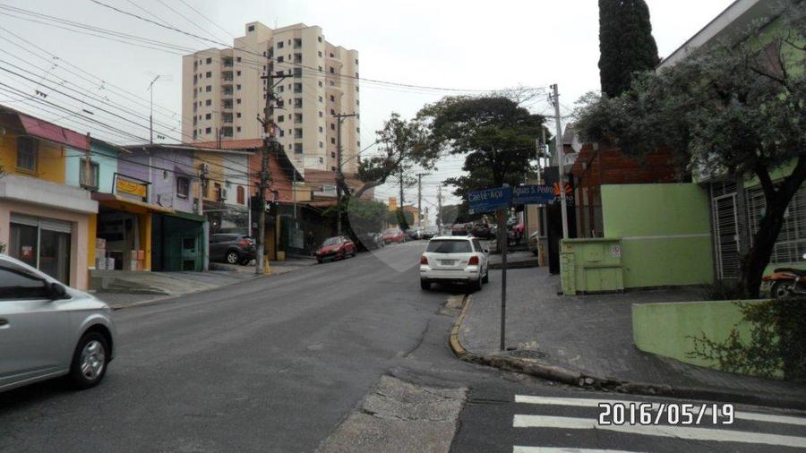 Foto REO188171