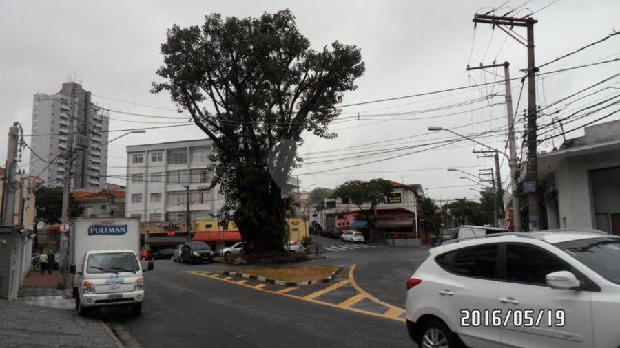 Foto REO188171