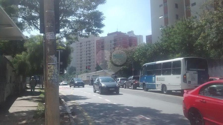 Foto REO188416
