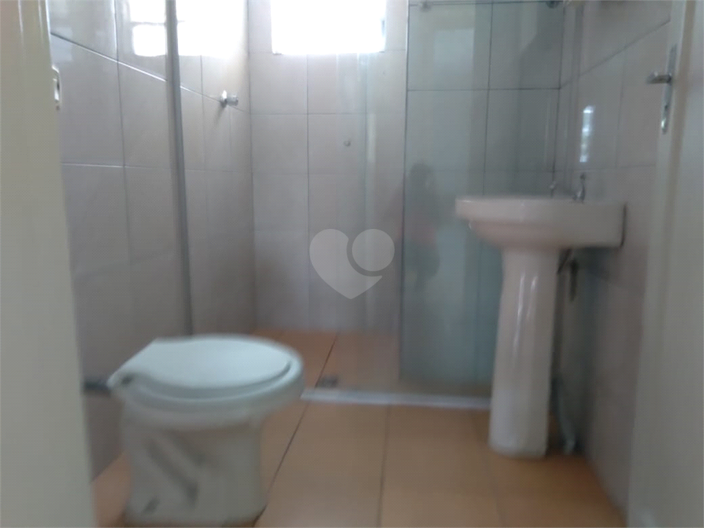 Foto REO188484